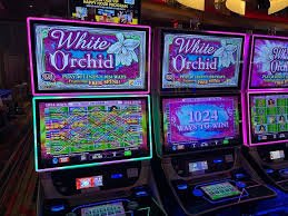 Antarmuka Bet Slip pttogell di layar mobile